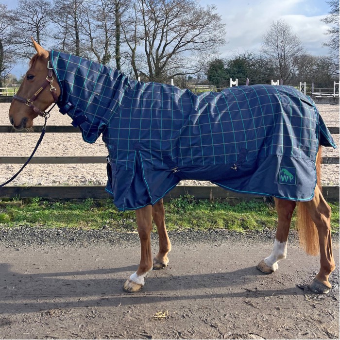 R422 Noah Lightweight 0g Turnout Rug with Fixed Neck and Tail Flap Navy and Green